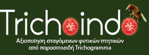 Trichoindo Logo