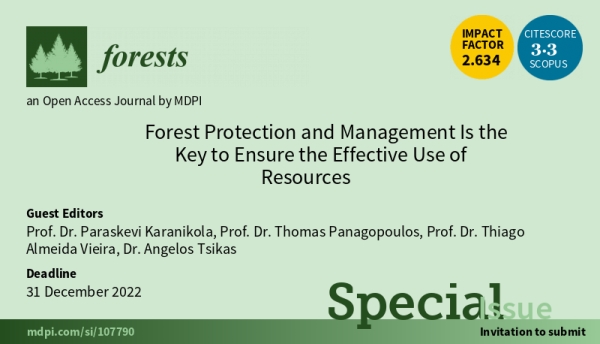 Forest Protection and Management Is the Key to Ensure the Effective Use of Resources